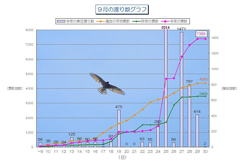9月の渡り数グラフ